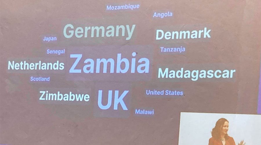 Names of countries involved in the Zambart Schista study